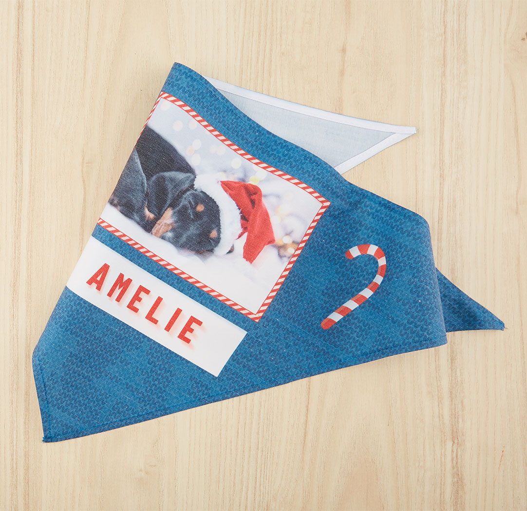 Foulards pour animaux