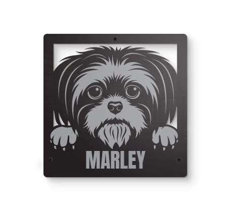 Shih Tzu