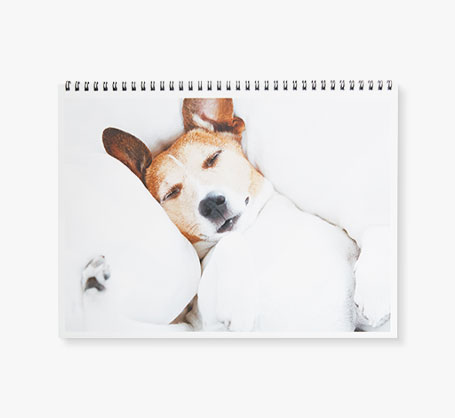 Calendriers muraux