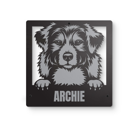 Australian Shepherd