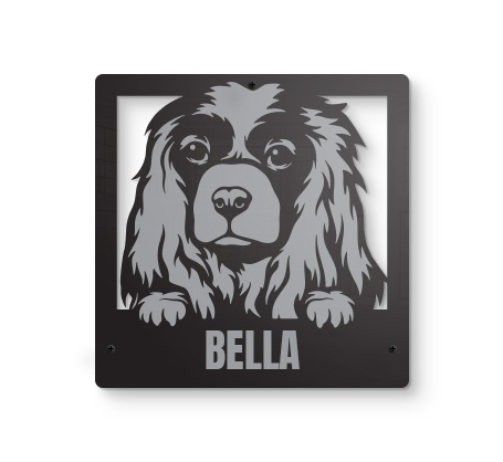 Cocker Spaniel